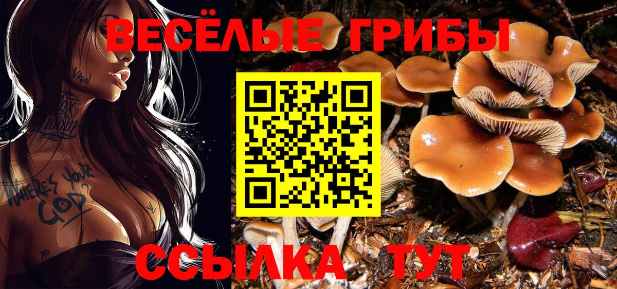 Муром  Псилоцибиновые грибы мицелий  цены наркотик  Галлюциногенные грибы Psilocybe  Вход с VPN 